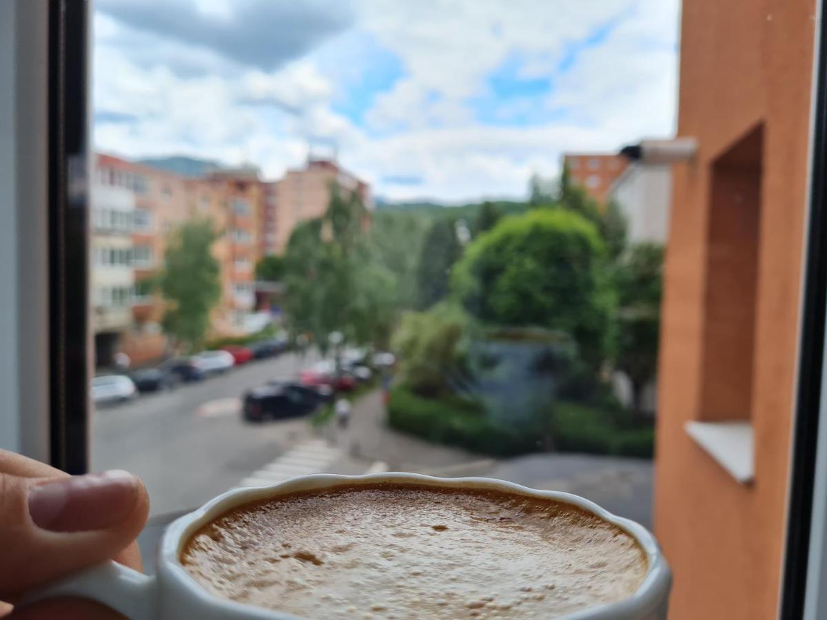 Smart Apartament Brasov Bagian luar foto